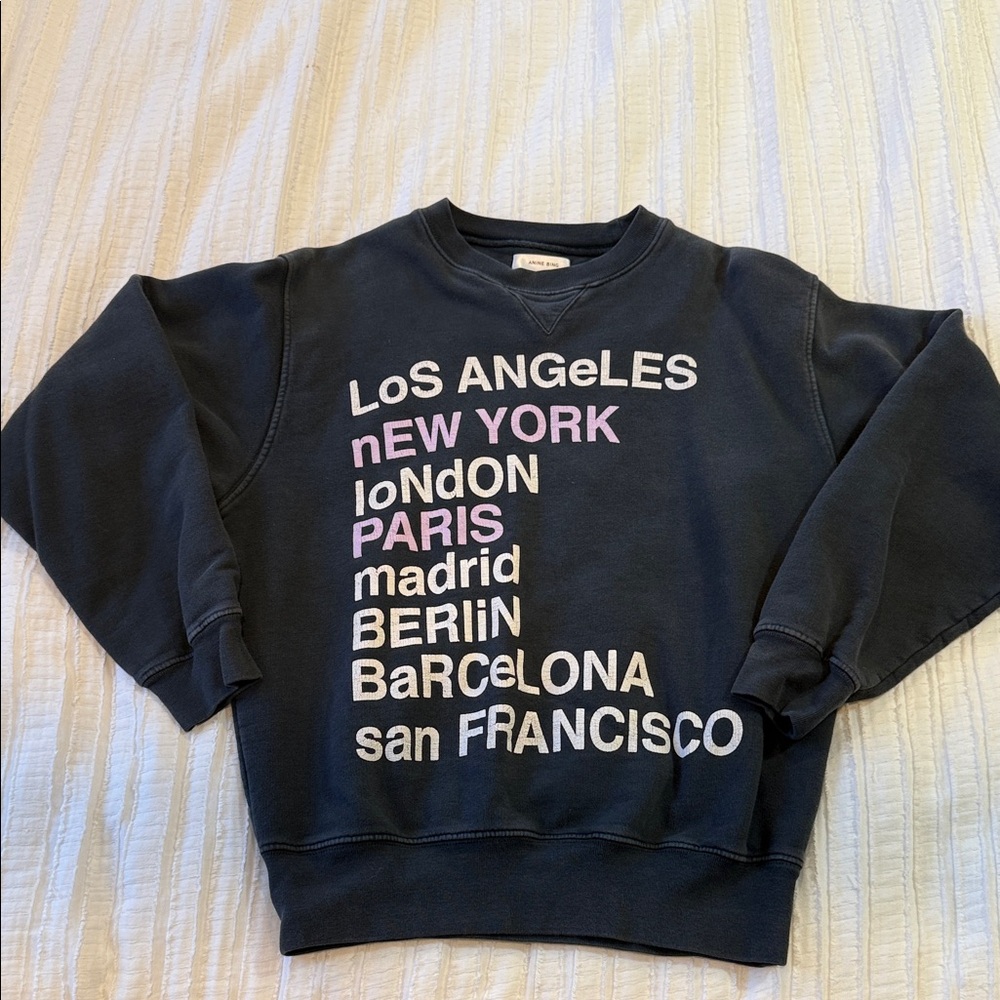 Anine Bing city sweatshirt